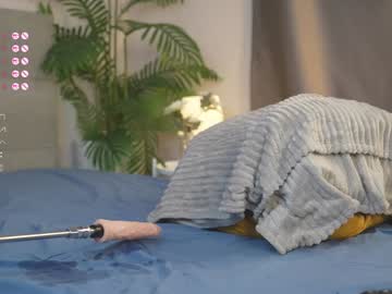 girl Cam Girls 43 with arianaausten